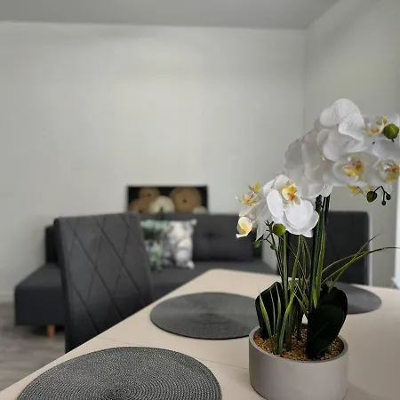 Apartamento Kosciuszki P R I M E Katowice