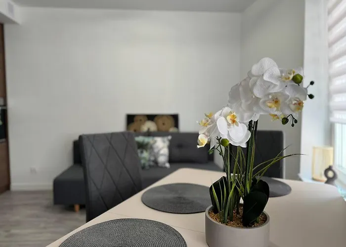 Апартаменты Kosciuszki P R I M E Катовице